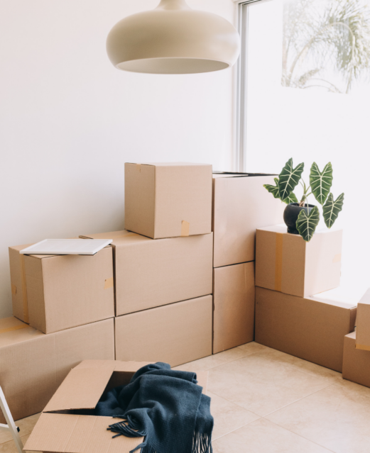 Adsız tasarım - 2026-02-15T140423.984